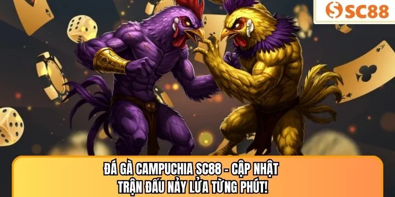 Đá Gà Campuchia SC88 – Cập Nhật Trận Đấu Nảy Lửa Từng Phút!