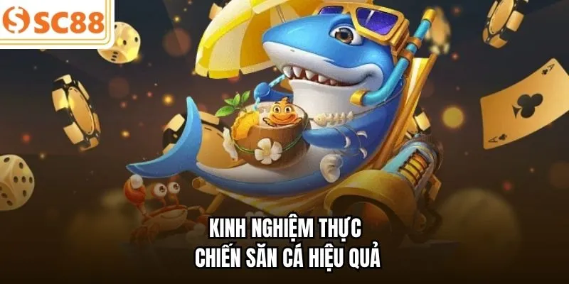 Kinh nghiệm thực chiến săn cá hiệu quả 